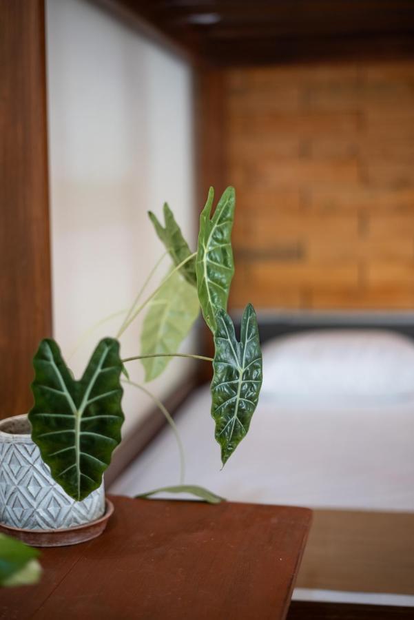 Casa Sabina Bacalar Hotel Екстериор снимка