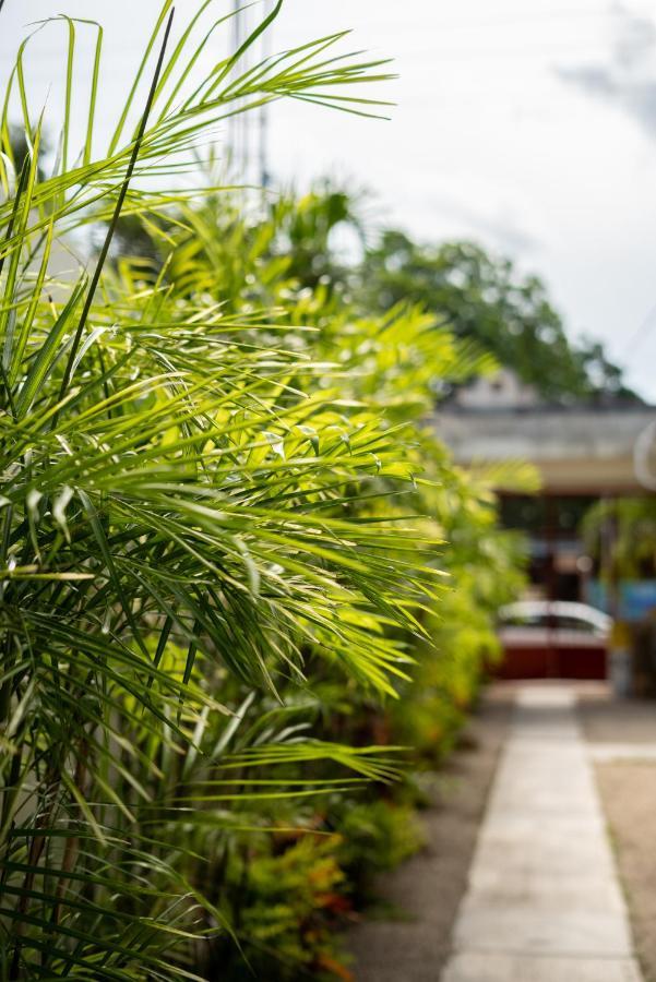 Casa Sabina Bacalar Hotel Екстериор снимка